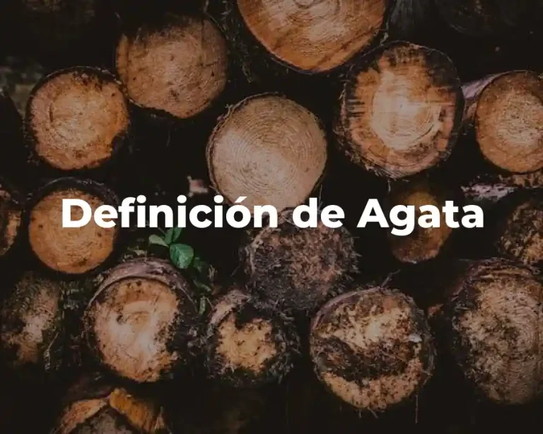 Definición de Agata