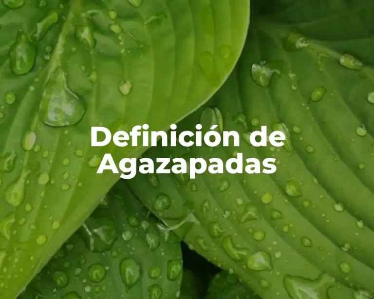 Definición de Agazapadas