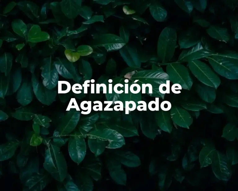 Definición de Agazapado