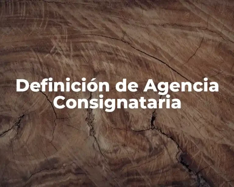 Definición de Agencia Consignataria
