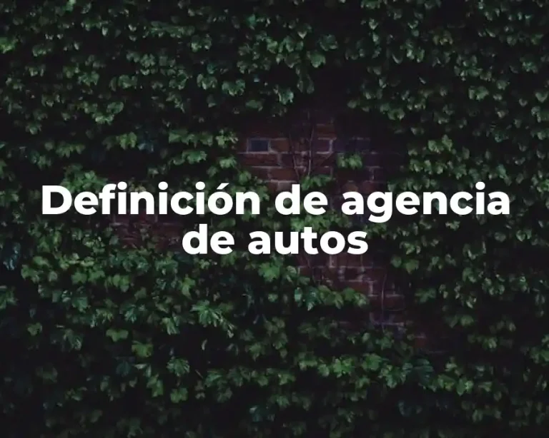 Definición de agencia de autos
