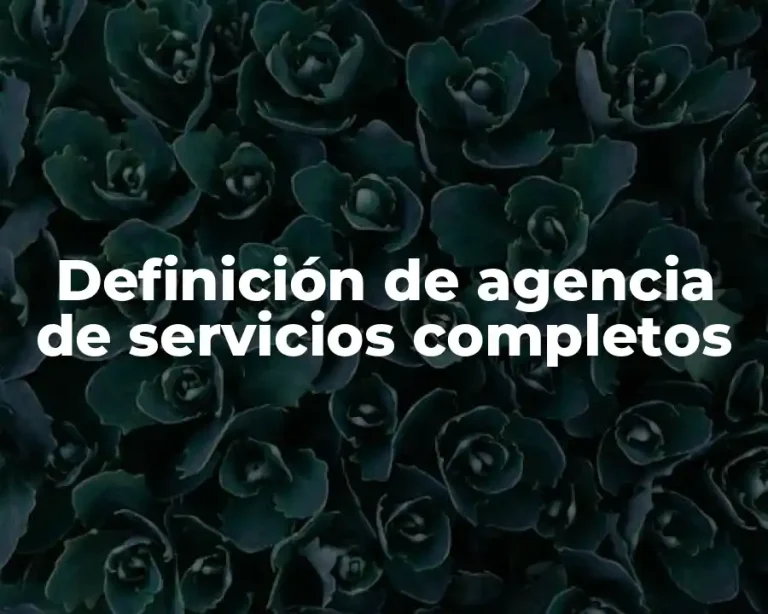 Definición de agencia de servicios completos