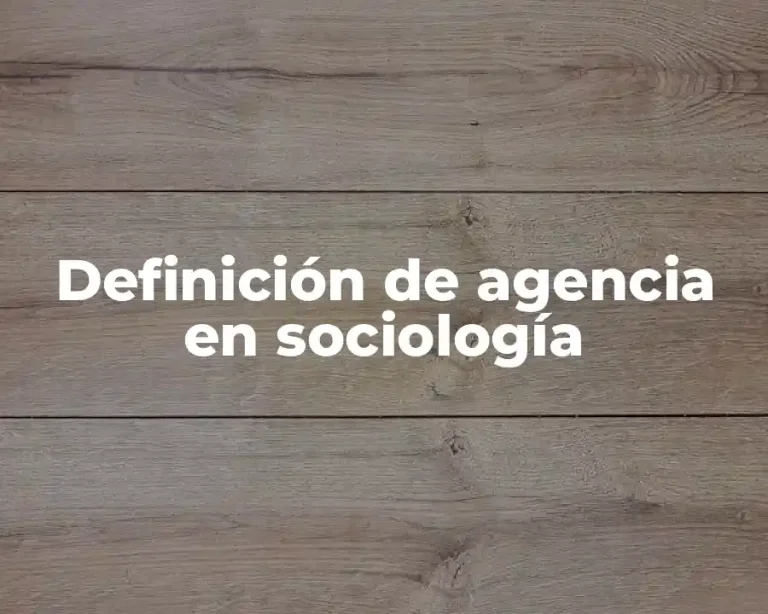 Definición de agencia en sociología