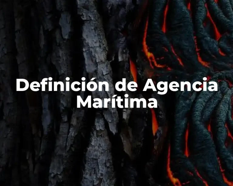 Definición de Agencia Marítima