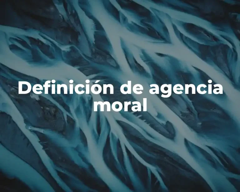 Definición de agencia moral