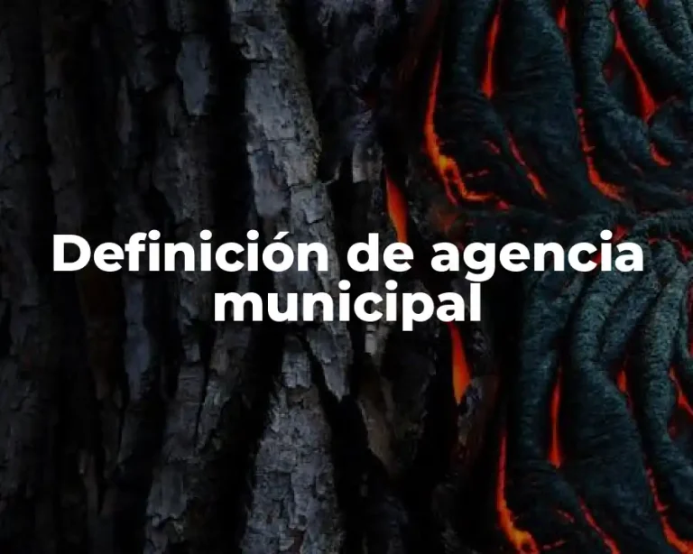 Definición de agencia municipal
