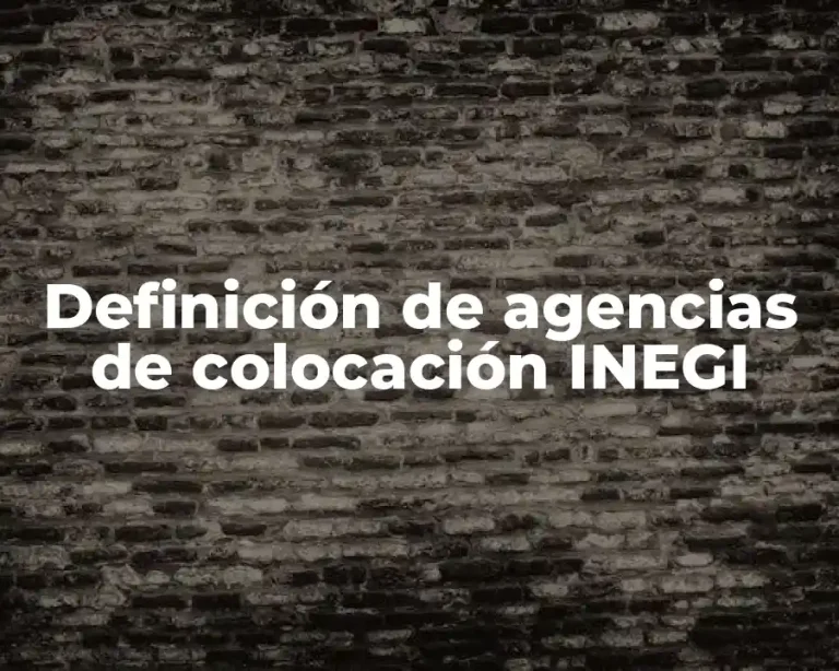 Definición de agencias de colocación INEGI