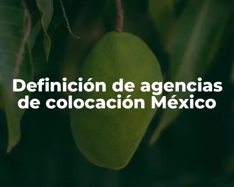 Definición de agencias de colocación México