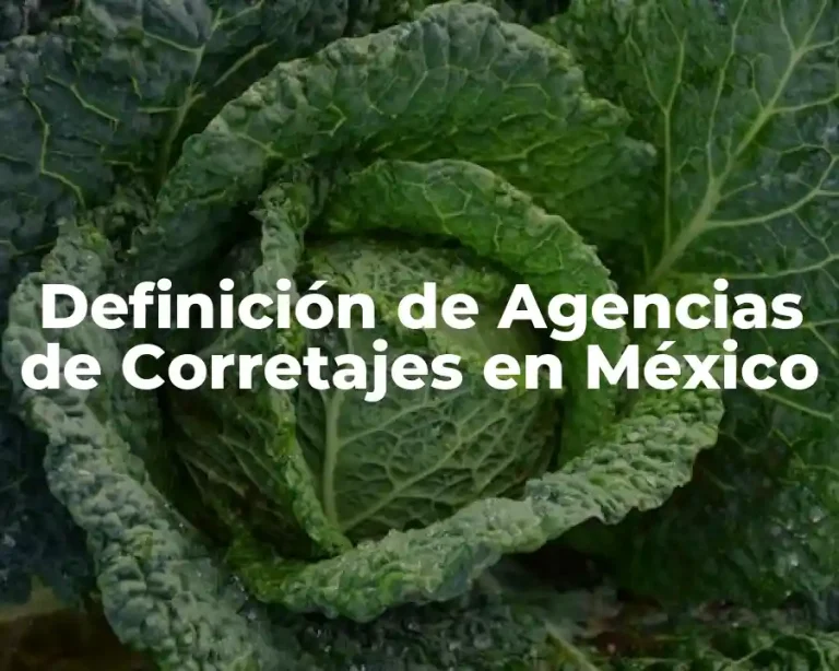 Definición de Agencias de Corretajes en México