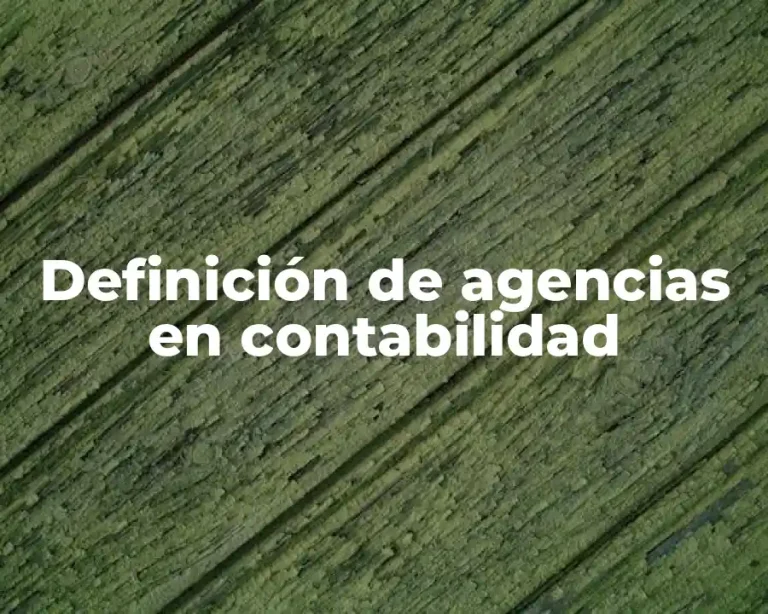 Definición de agencias en contabilidad