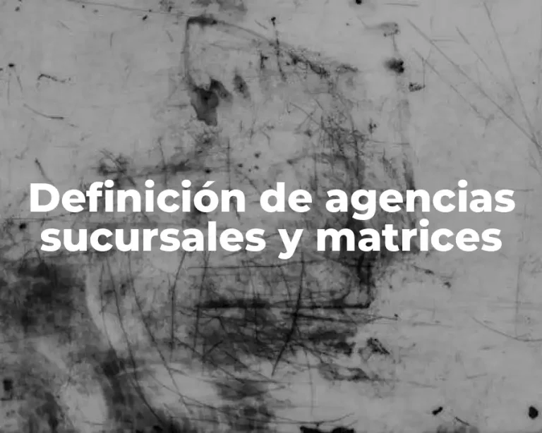 Definición de agencias sucursales y matrices