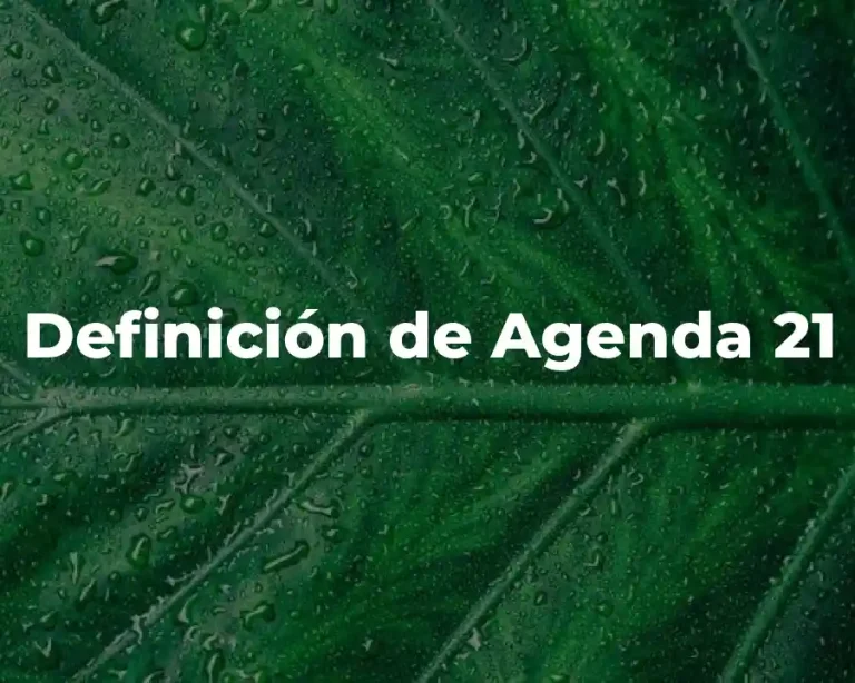 Definición de Agenda 21