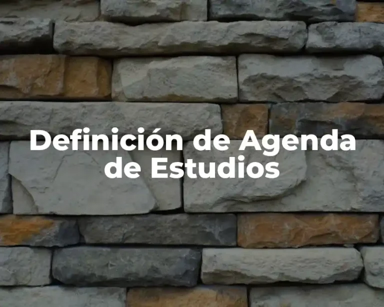 Definición de Agenda de Estudios