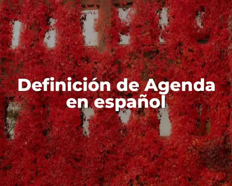 Definición de Agenda en español
