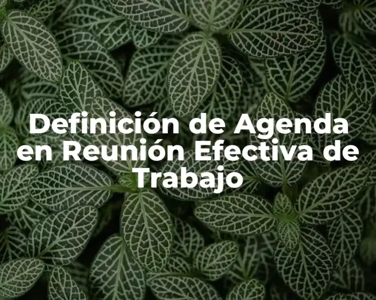 Definición de Agenda en Reunión Efectiva de Trabajo