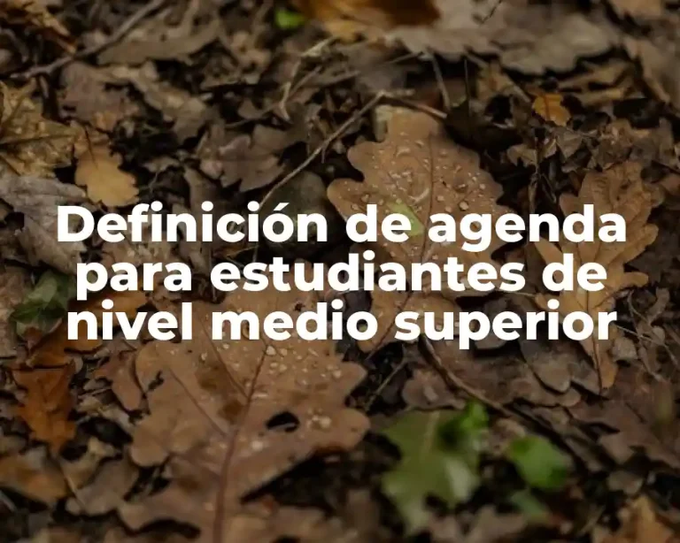 Definición de agenda para estudiantes de nivel medio superior
