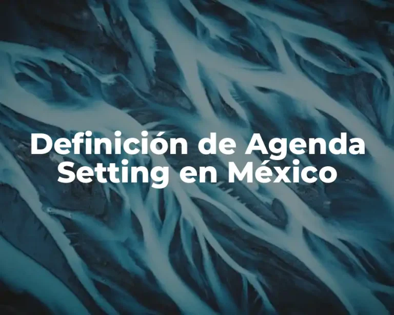 Definición de Agenda Setting en México