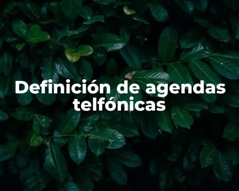 Definición de agendas telfónicas