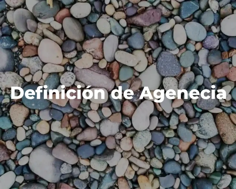 Definición de Agenecia