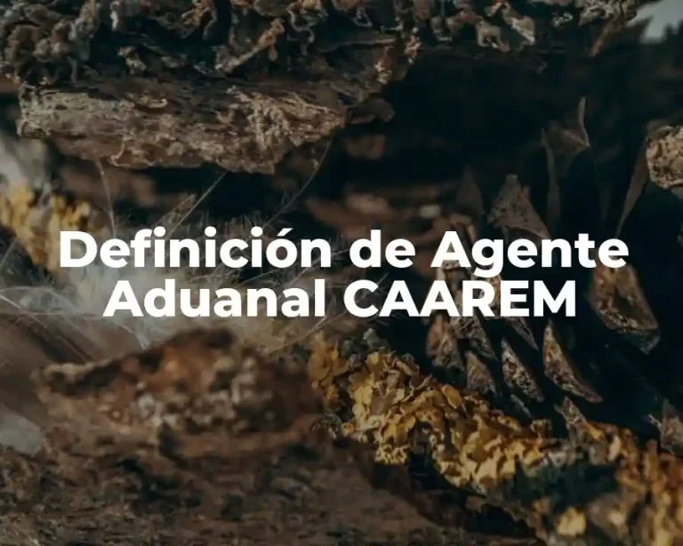 Definición de Agente Aduanal CAAREM