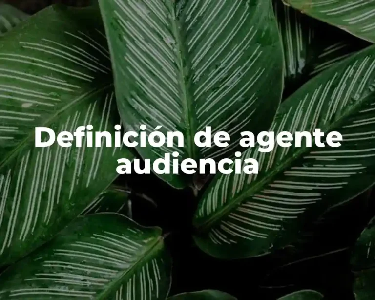 Definición de agente audiencia