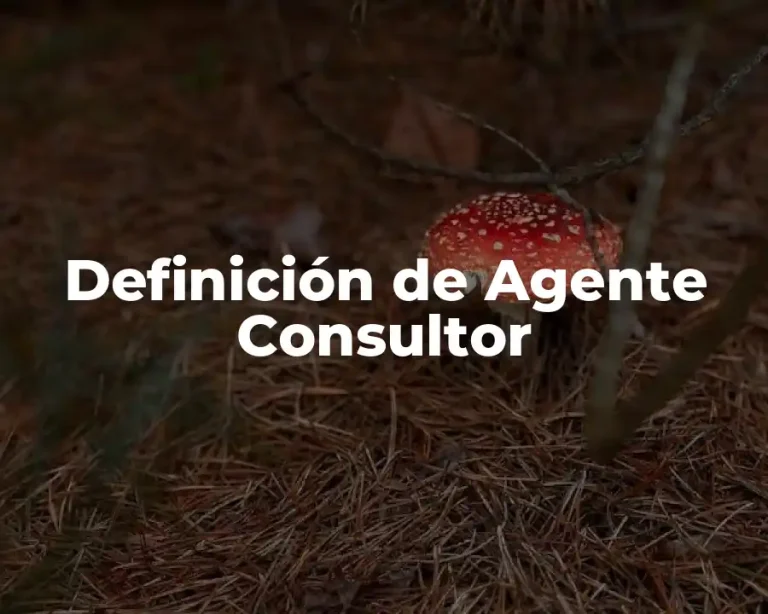 Definición de Agente Consultor