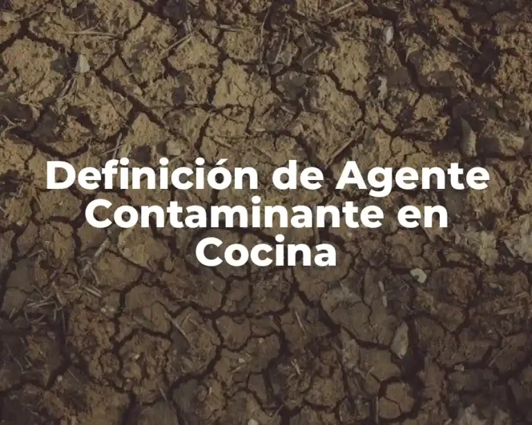 Definición de Agente Contaminante en Cocina