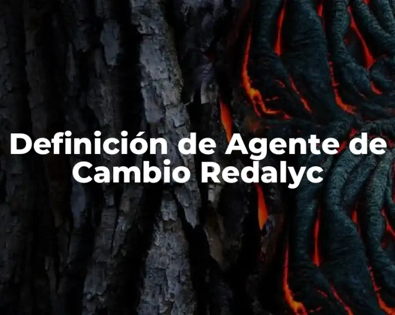 Definición de Agente de Cambio Redalyc