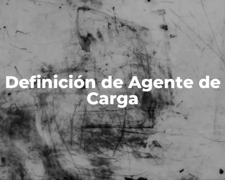 Definición de Agente de Carga