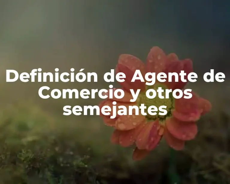 Definición de Agente de Comercio y otros semejantes