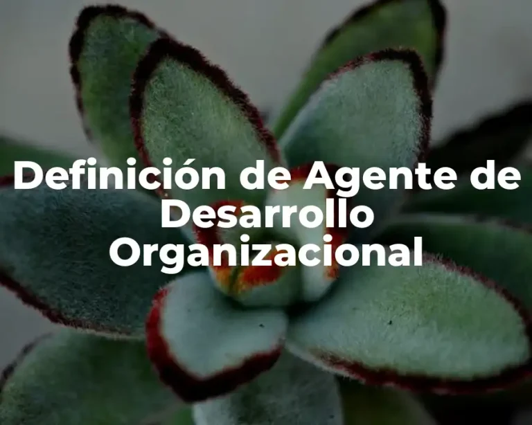 Definición de Agente de Desarrollo Organizacional