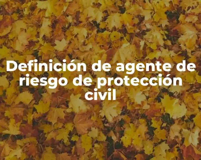 Definición de agente de riesgo de protección civil