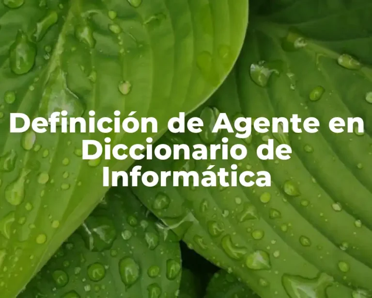 Definición de Agente en Diccionario de Informática
