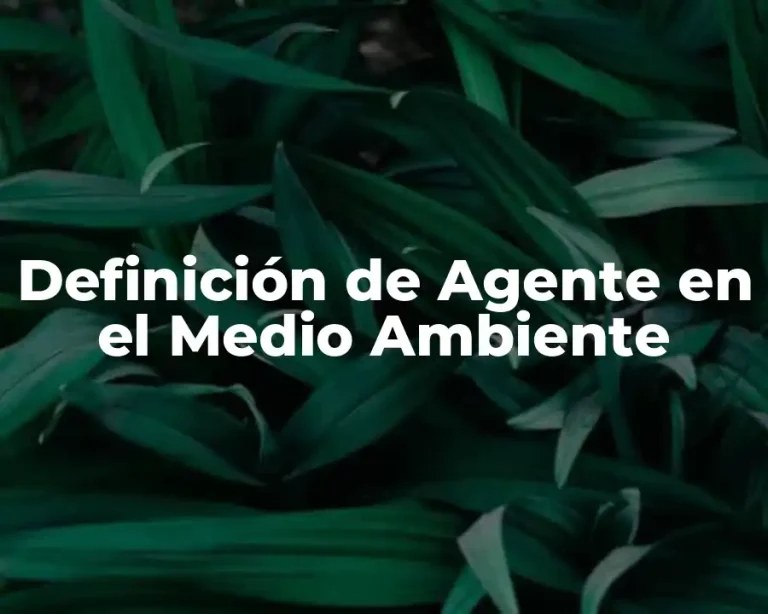Definición de Agente en el Medio Ambiente