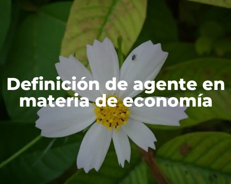 Definición de agente en materia de economía