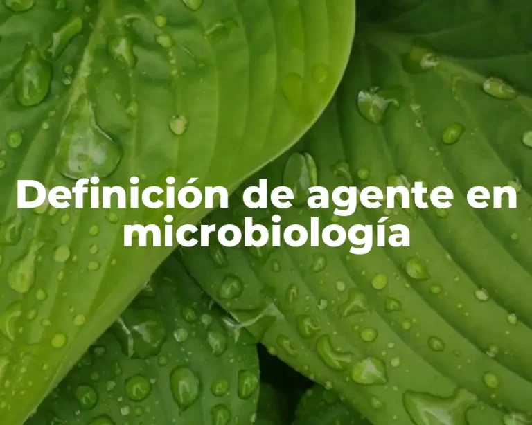 Definición de agente en microbiología