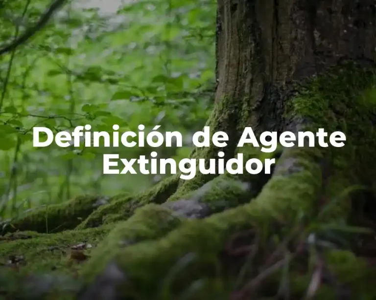 Definición de Agente Extinguidor