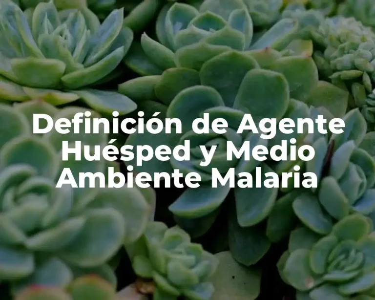 Definición de Agente Huésped y Medio Ambiente Malaria