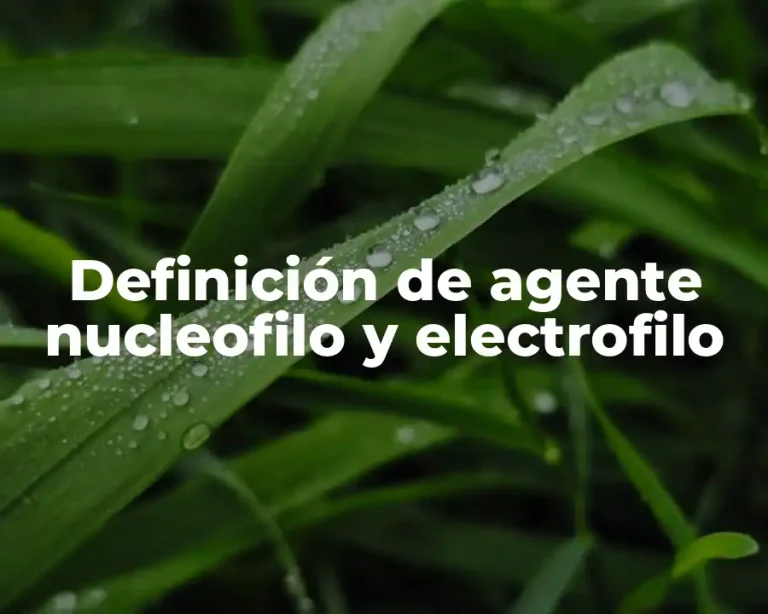 Definición de agente nucleofilo y electrofilo