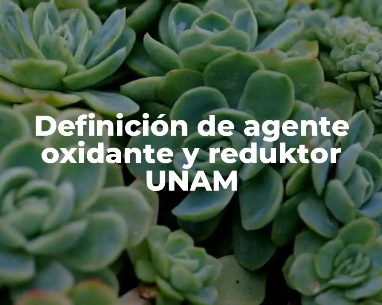 Definición de agente oxidante y reduktor UNAM