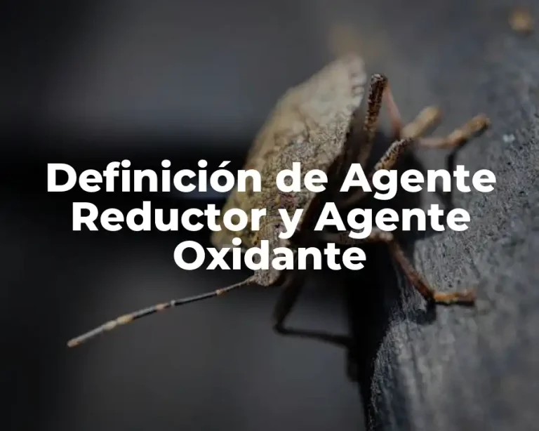 Definición de Agente Reductor y Agente Oxidante