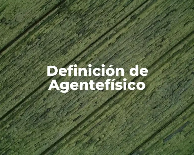 Definición de Agentefísico