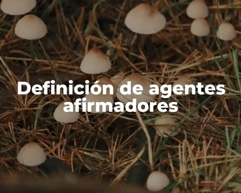 Definición de agentes afirmadores