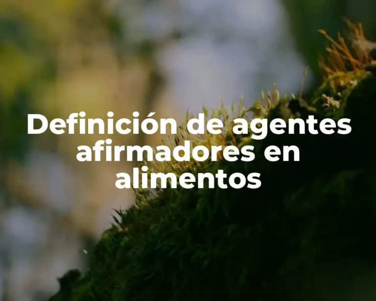 Definición de agentes afirmadores en alimentos
