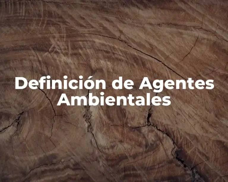 Definición de Agentes Ambientales