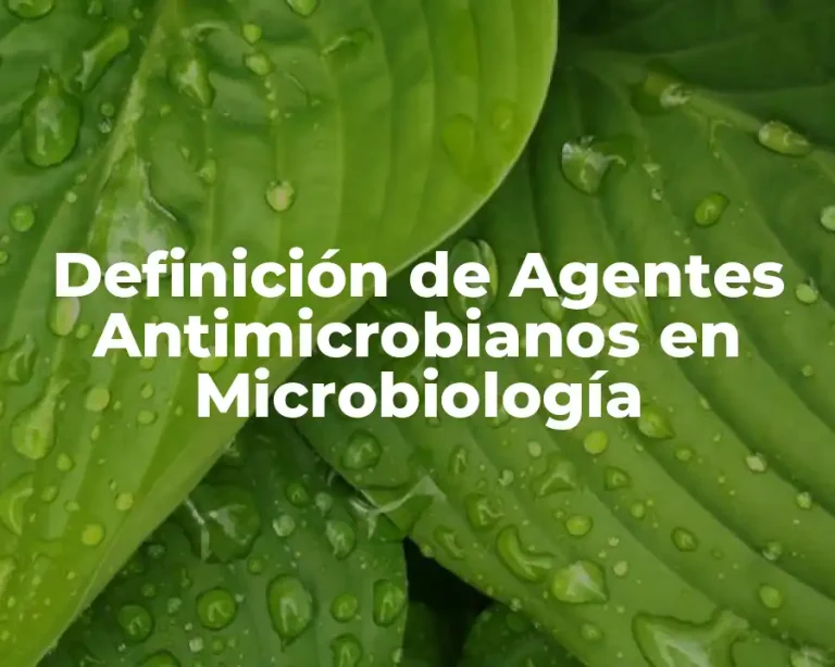 Definición de Agentes Antimicrobianos en Microbiología