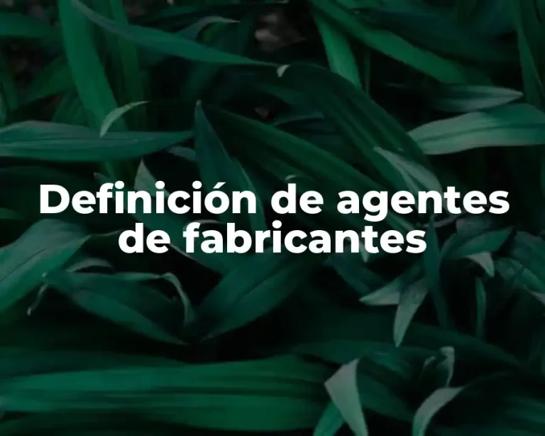 Definición de agentes de fabricantes