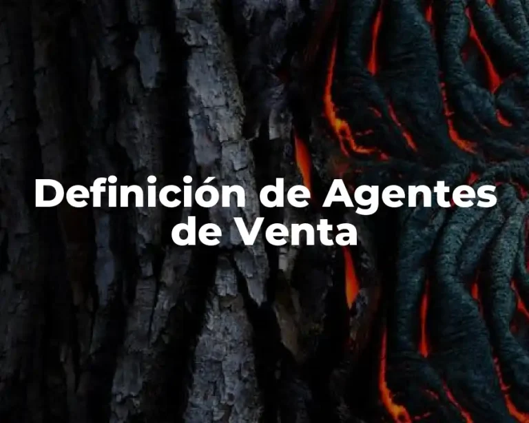 Definición de Agentes de Venta