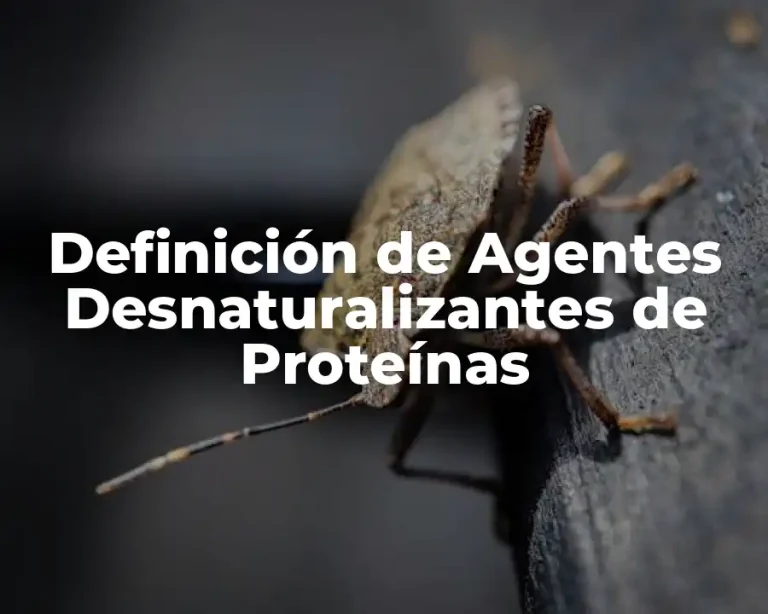 Definición de Agentes Desnaturalizantes de Proteínas