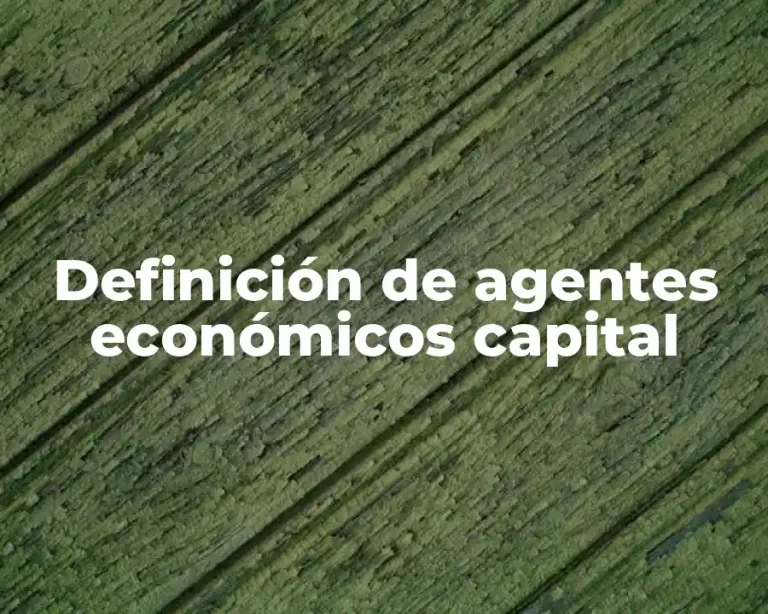 Definición de agentes económicos capital